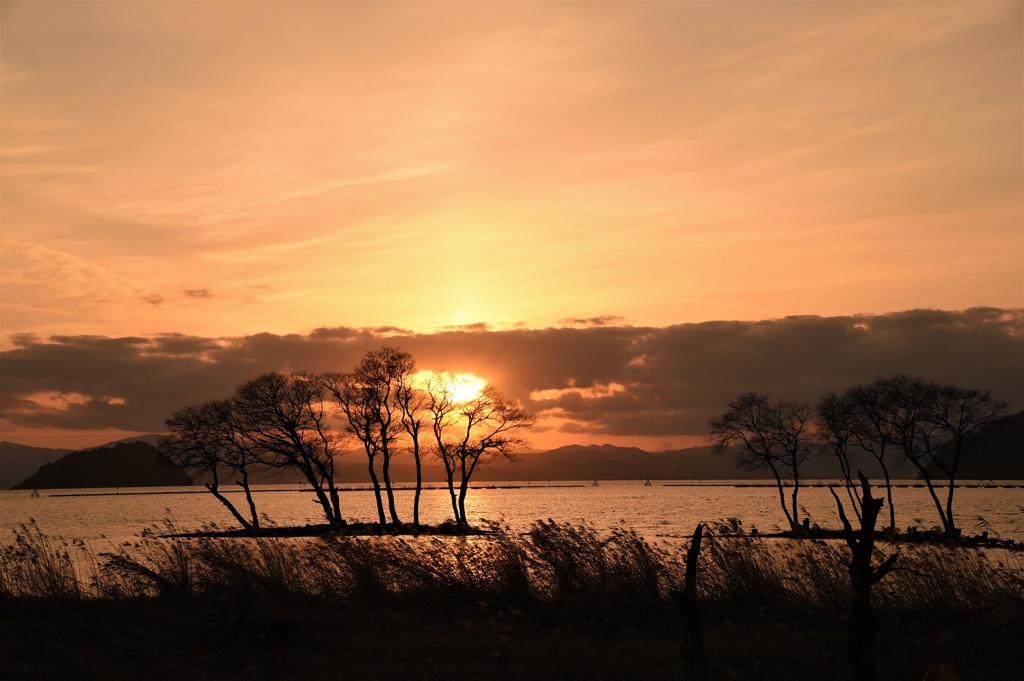 サンドイッチ夕陽