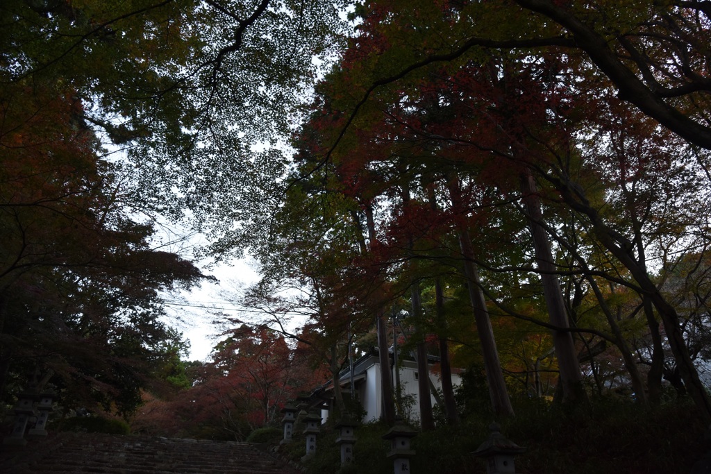 胡ノ宮神社2