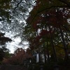 胡ノ宮神社2