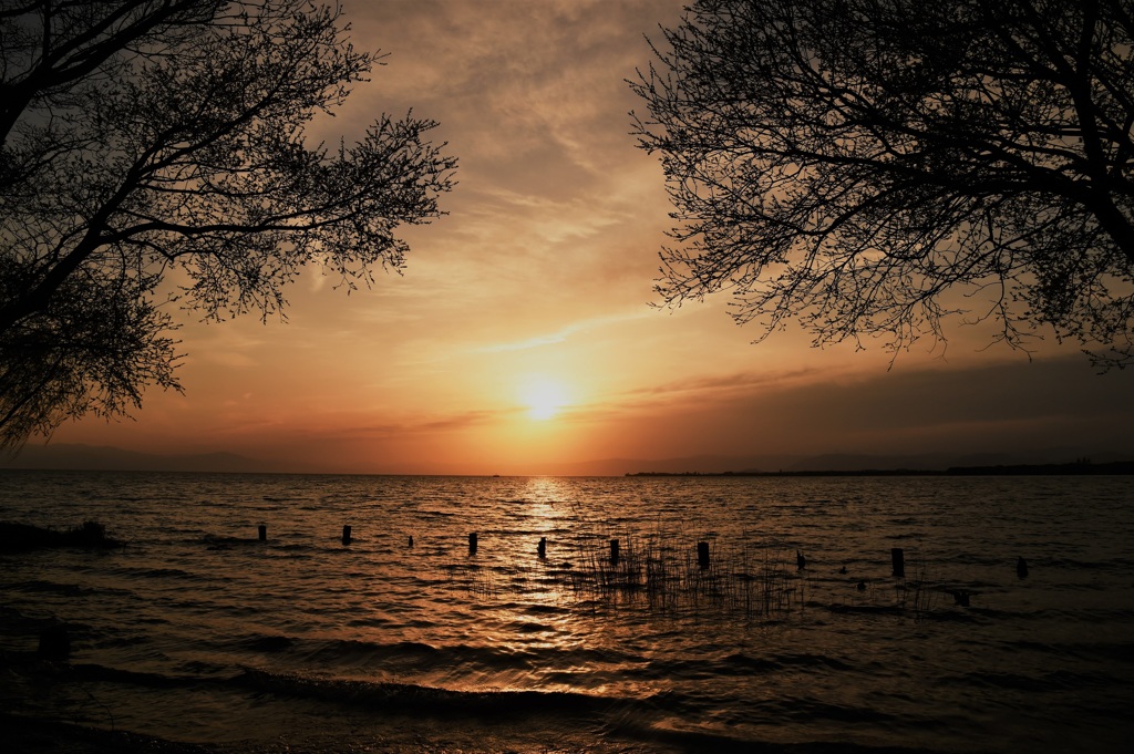 目覚めた夕景
