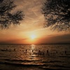 目覚めた夕景