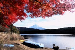 西湖から・・・