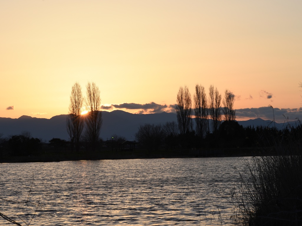 弥生野田沼夕景1