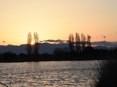 弥生野田沼夕景1