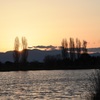 弥生野田沼夕景1