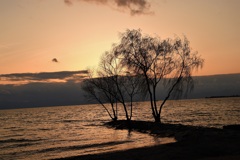 寂しい夕暮れ