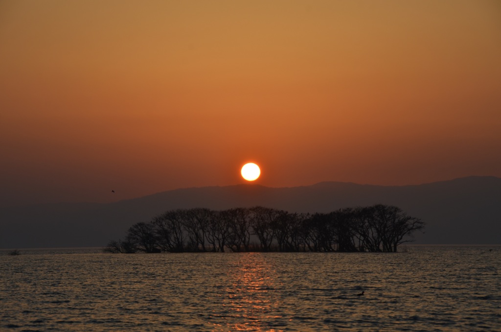 弥生夕景２