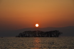 弥生夕景２