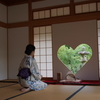 今の季節は浴衣が似合います