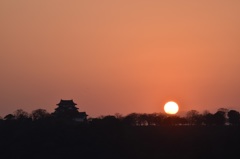 弥生彦根城夕景2