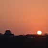 弥生彦根城夕景2