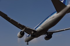 B787 B787