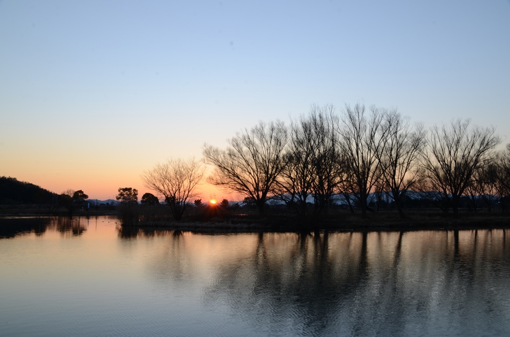 如月野田沼夕景2