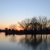 如月野田沼夕景2