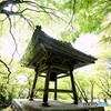 新緑の力