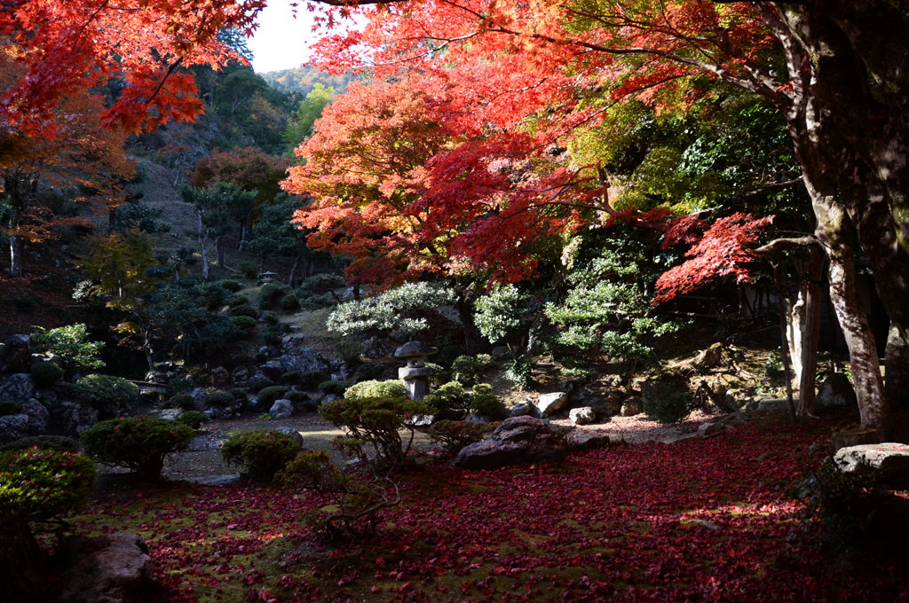 徳源院１