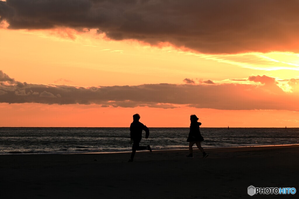 追いかけて・・・・