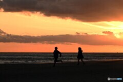 追いかけて・・・・