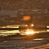 夕焼け電車