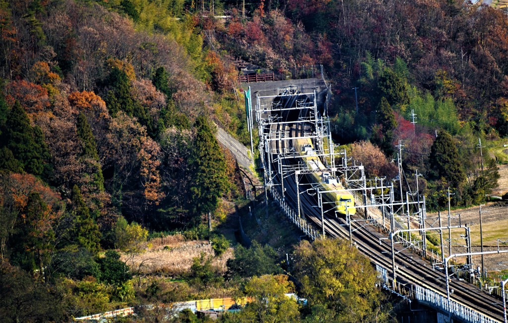 出口のイエロー-2