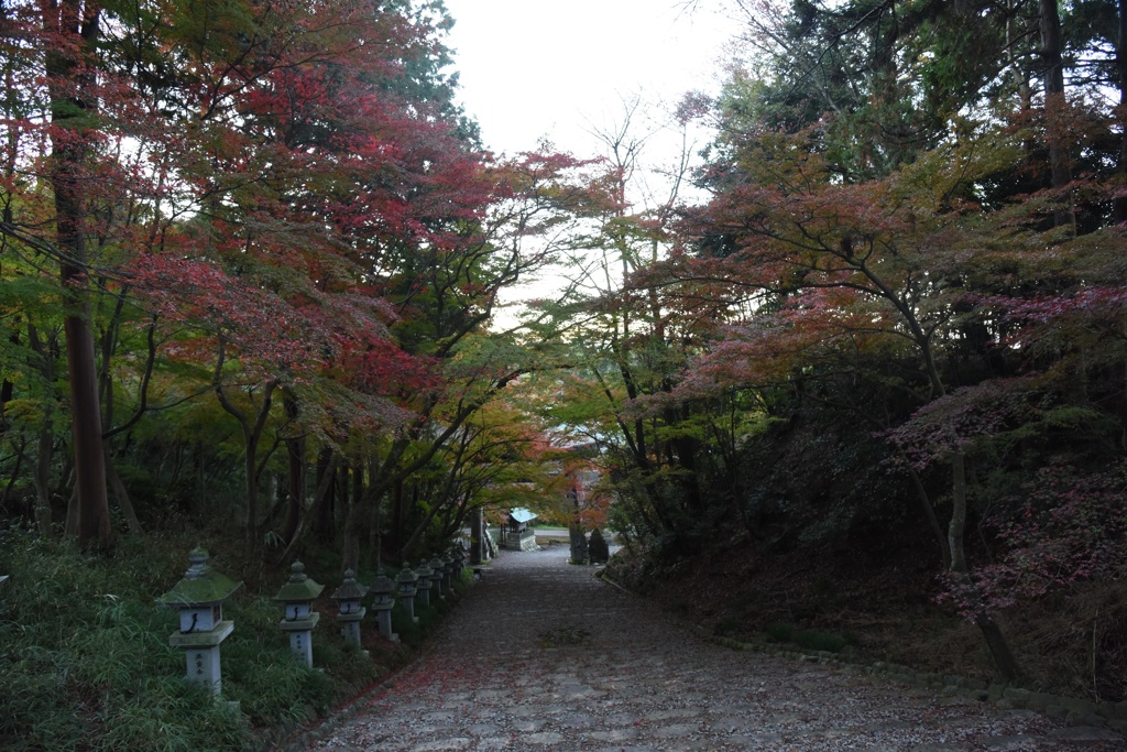 胡ノ宮神社1