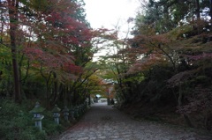 胡ノ宮神社1