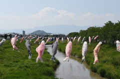 風に吹かれて