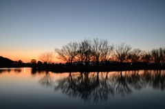 如月野田沼夕景3