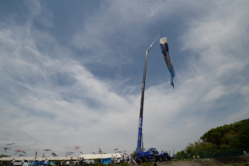大物釣れて・・