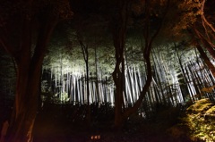 教林坊３