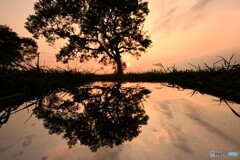 夕暮れのsymmetry