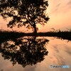 夕暮れのsymmetry