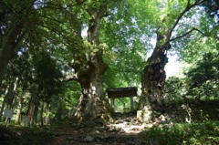菅山寺山門
