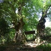 菅山寺山門