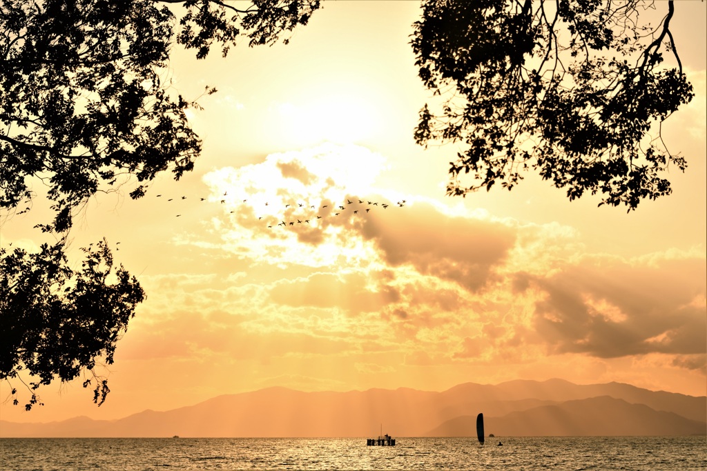 秋の夕暮れは賑やかに・・。