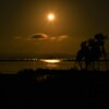 静かな情熱の月夜