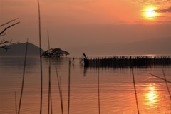 夕陽に未来を紡ぐ