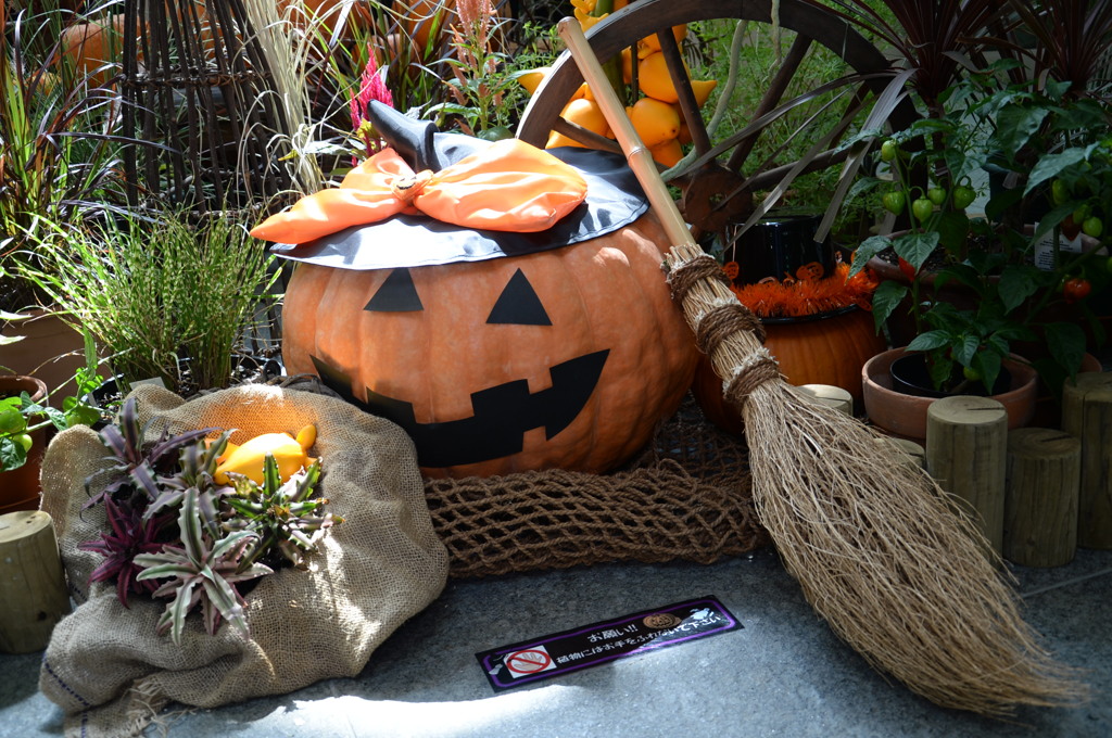 もうすぐﾊﾛｳｨﾝ１