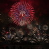 また、来年！