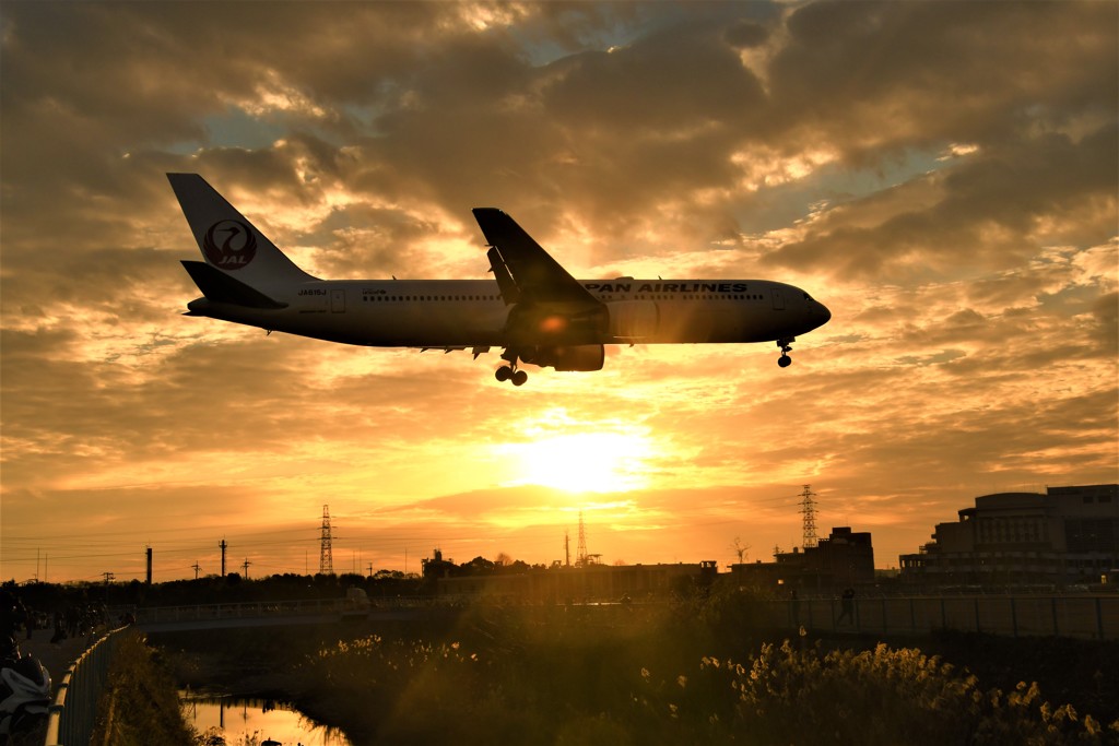 夕陽に煌めく