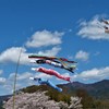 令和鯉登り