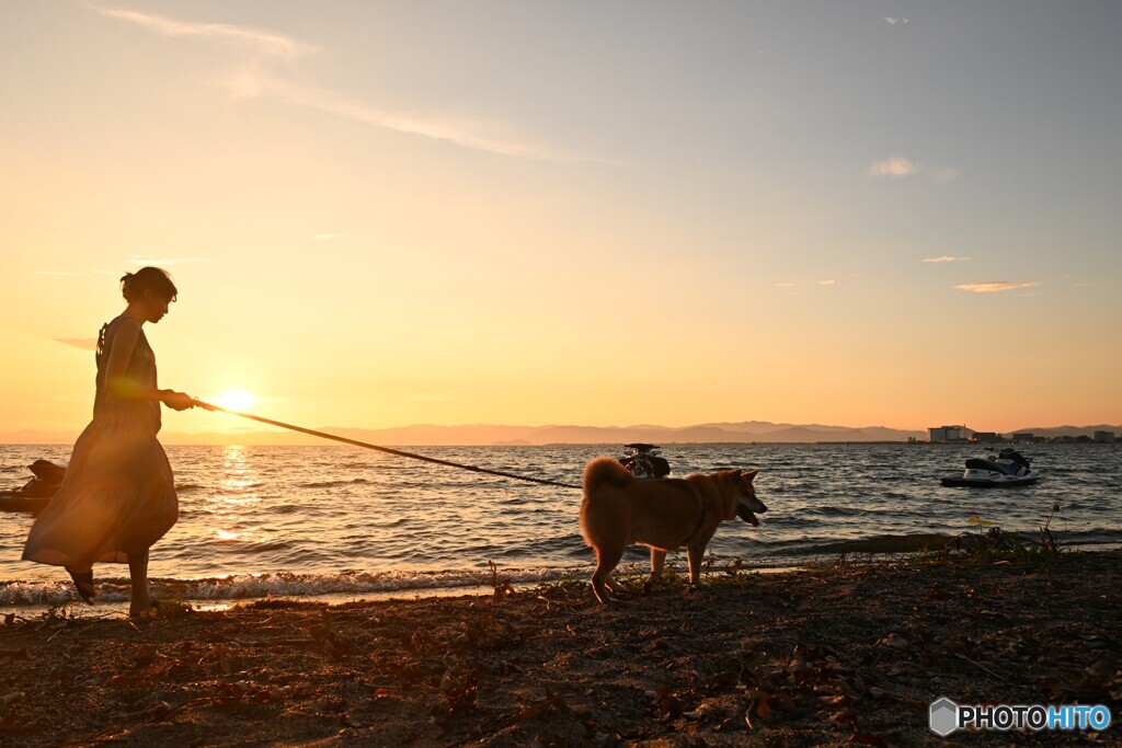 夕暮れのお散歩