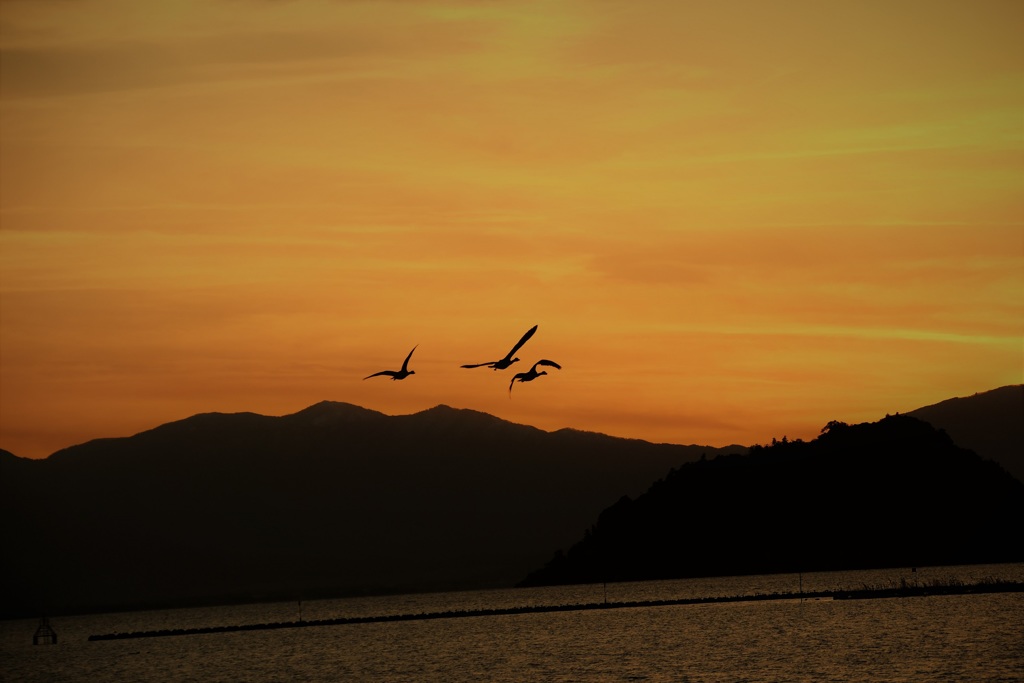 師走　湖北夕景②