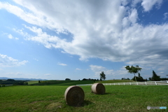 牧草ロール