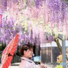 藤娘　