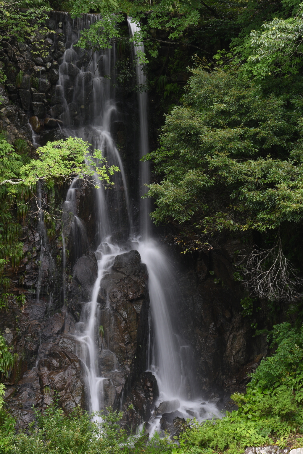 雨上がり・・