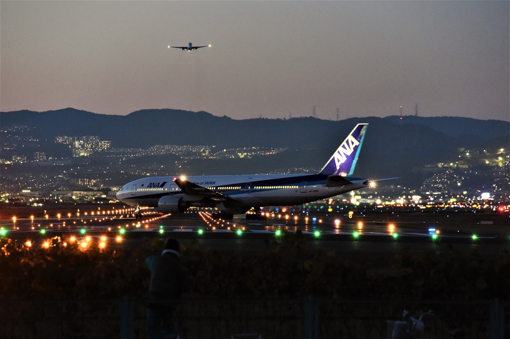 離陸ラッシュ