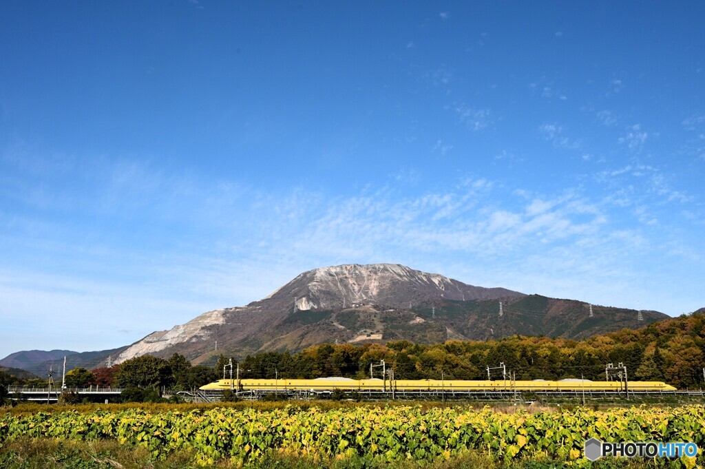 ドクターイエロー