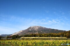 ドクターイエロー