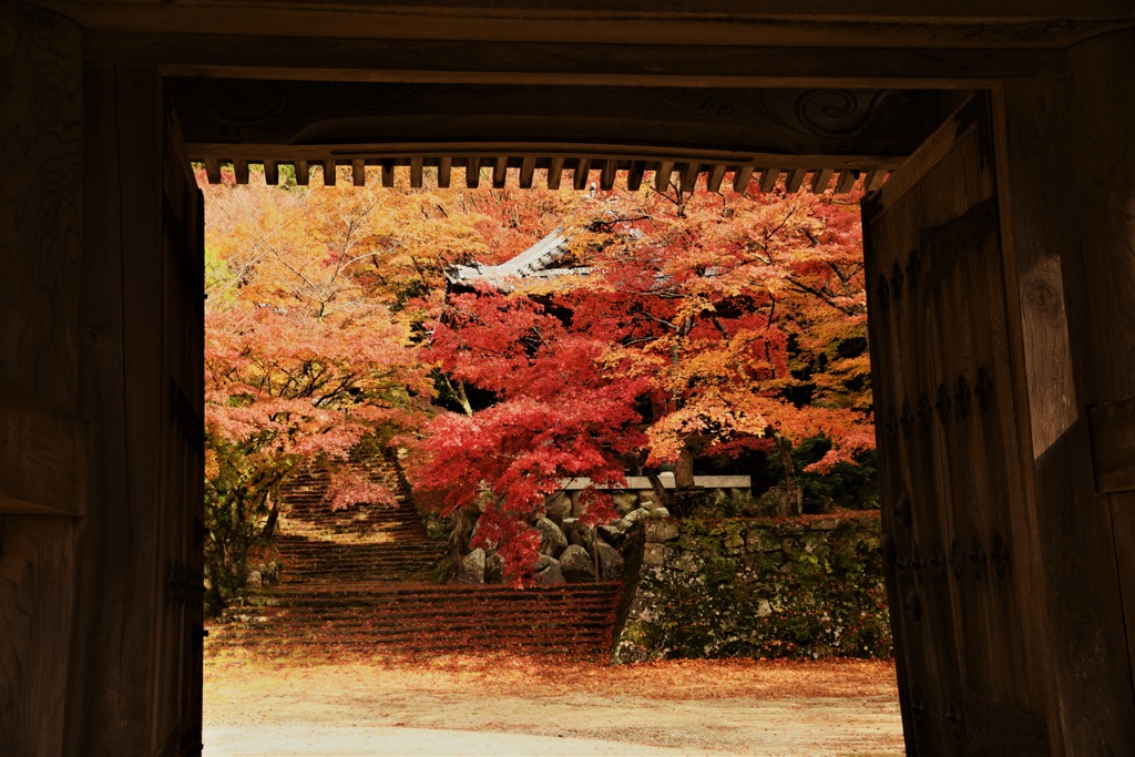東光寺　山門